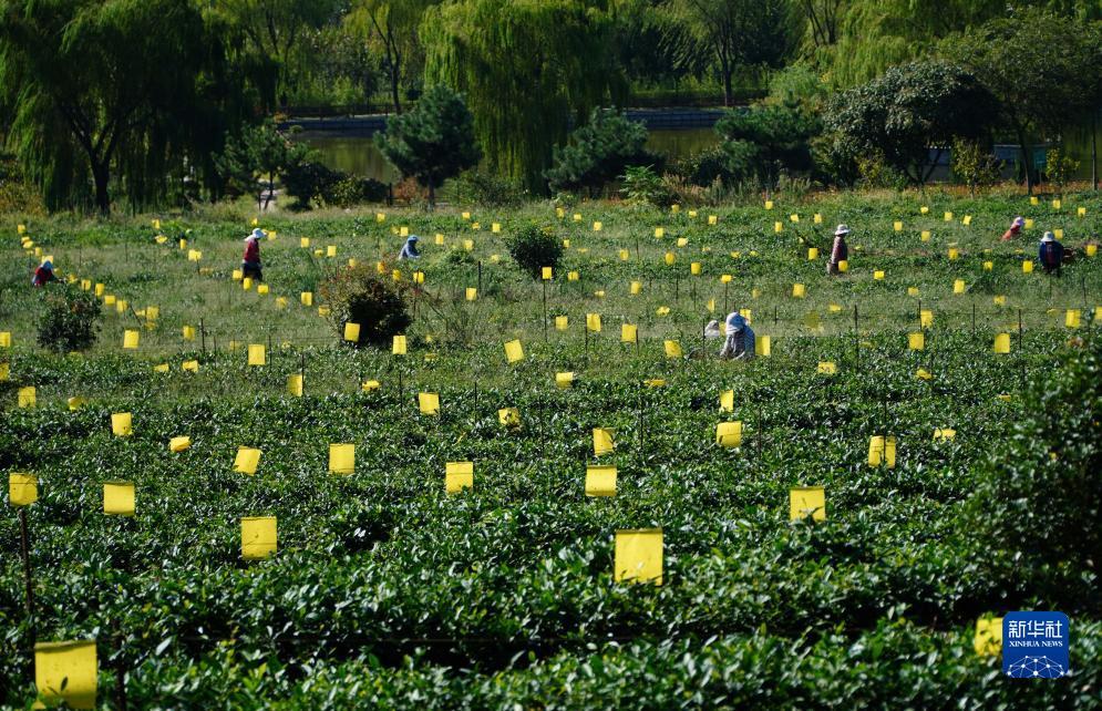 微乐斗地主福利码最新